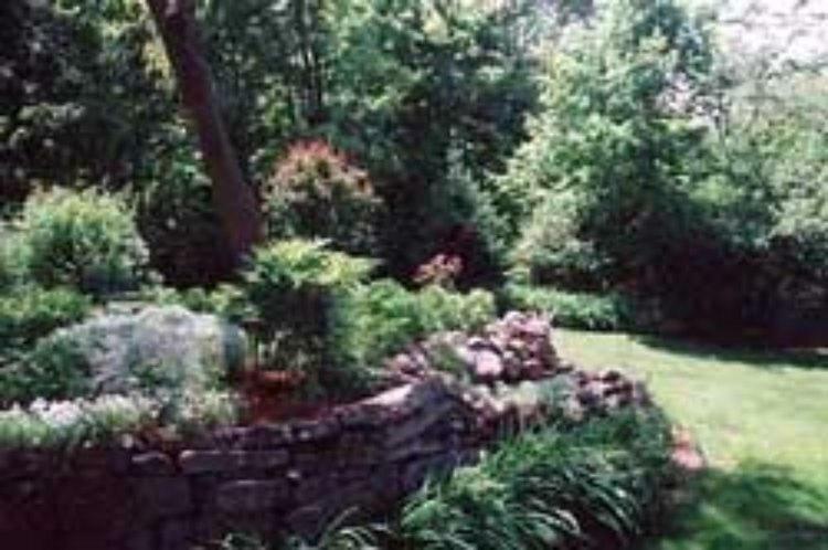 Red Elephant Inn Bed And Breakfast North Conway Exterior foto